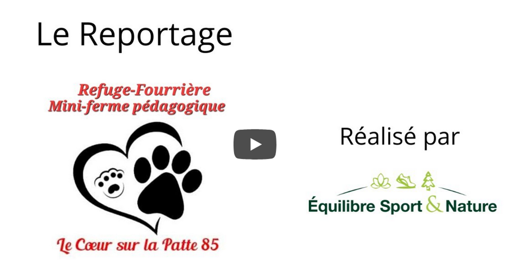 Évènement – Reportage – 18 décembre 2025